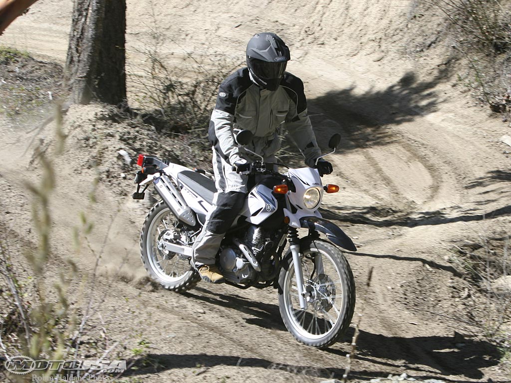 2008款雅马哈XT250摩托车图片3