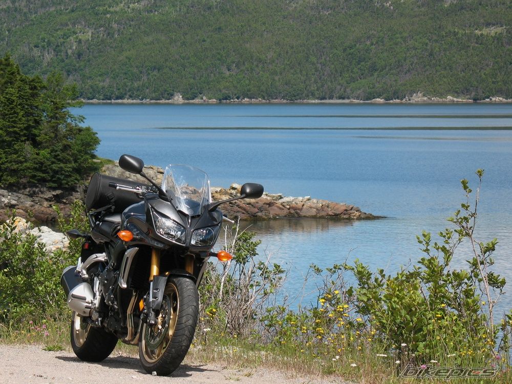2008款雅马哈FZ1摩托车图片2