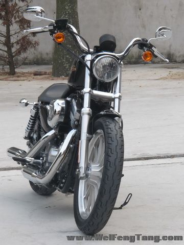 新到2008年款哈雷-戴维森 XL883 L版黑色 Sportster 883 Low - XL883L图片 3