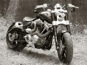 2007款ConfederateHellcat摩托车图片